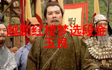 越剧红色医生红日绿树山花开 剧本唱词