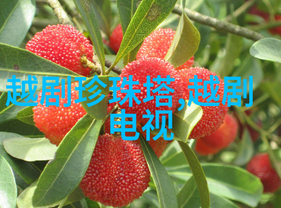 越剧韩湘子出世