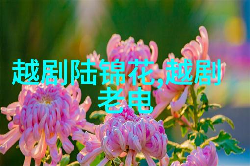 越剧双轿接亲