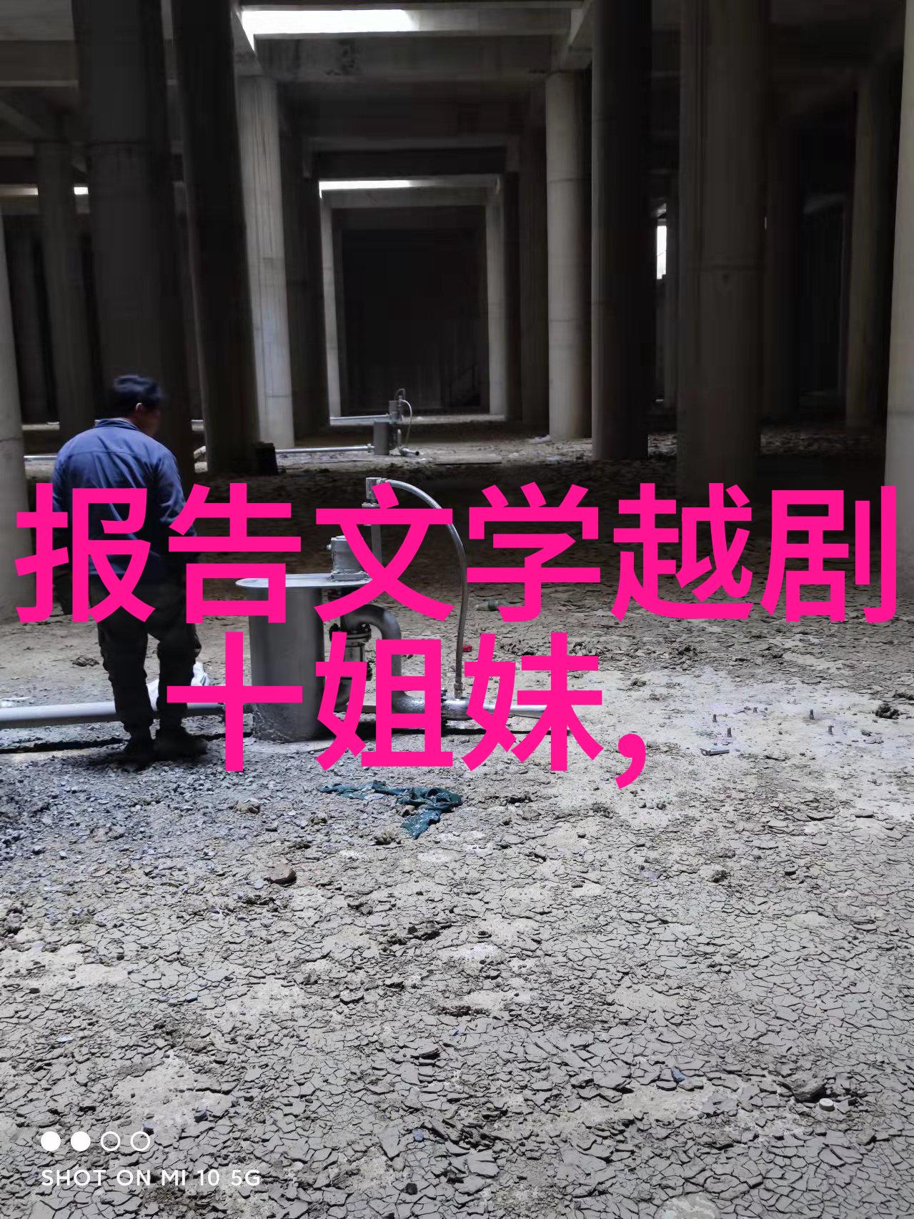 1981年