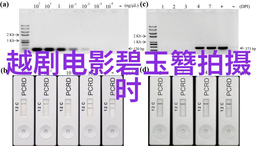 越剧云破月圆